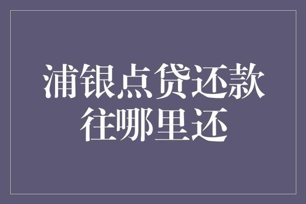 浦银点贷还款往哪里还