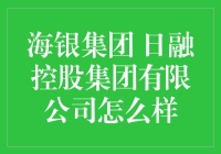 海银集团与日融控股集团有限公司的企业文化与业务能力深度解析