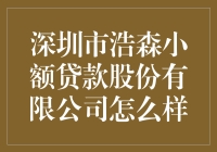 深圳市浩森小额贷款股份有限公司：真的那么厉害吗？