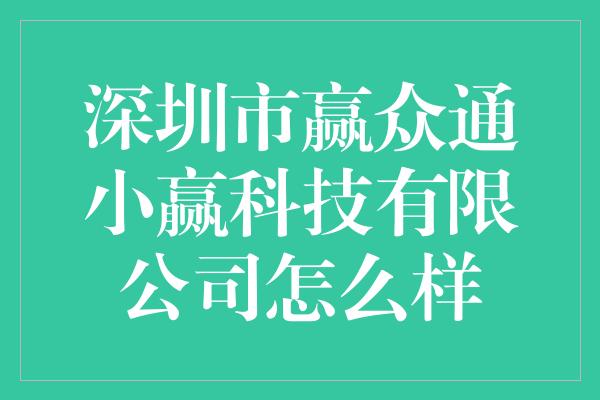 深圳市赢众通小赢科技有限公司怎么样