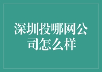 深圳投哪网公司深度解析：金融科技领域的新星