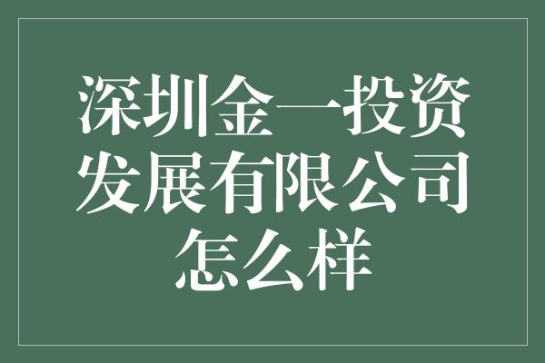 深圳金一投资发展有限公司怎么样