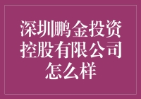 深圳鹏金投资控股有限公司：金融领域的精英企业