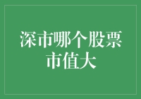 深圳证券交易所市值排名前五的股票分析：把握未来投资趋势