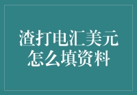 渣打电汇美元？我来教你填资料！