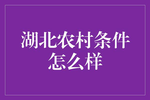 湖北农村条件怎么样