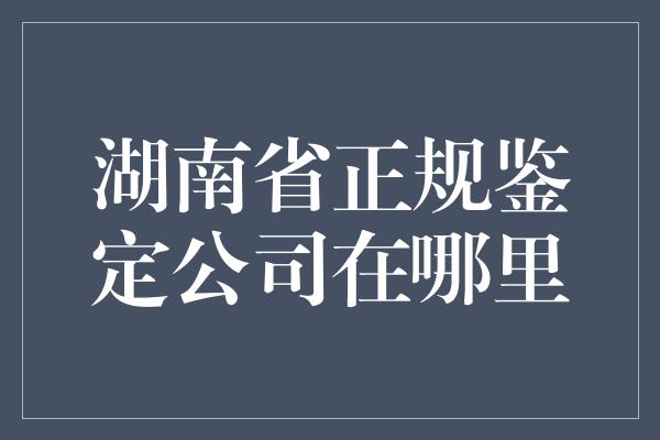 湖南省正规鉴定公司在哪里