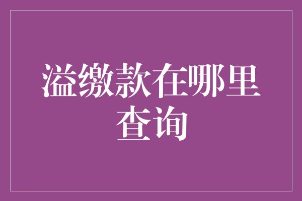 溢缴款在哪里查询