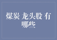 煤炭龙头股有哪些：行业变革下的投资机遇