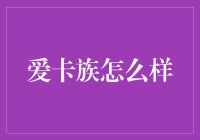 爱卡族：一种文化休闲方式的崛起与反思