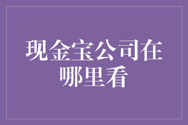 现金宝公司在哪里看