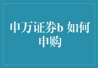 申万证券B：深入解析如何顺利申购的全流程指南