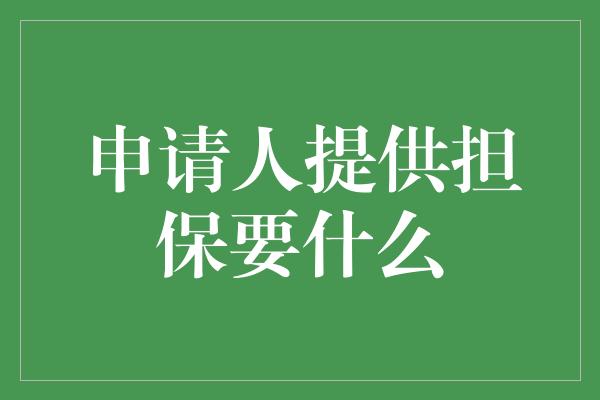 申请人提供担保要什么