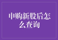 新股申购后查询指南：如何在股市中追踪您的投资