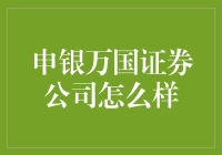 专业化与创新并举：申银万国证券公司的卓越发展之路