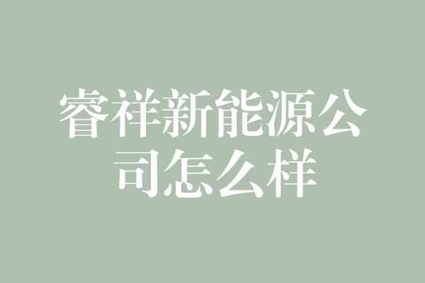 睿祥新能源公司怎么样