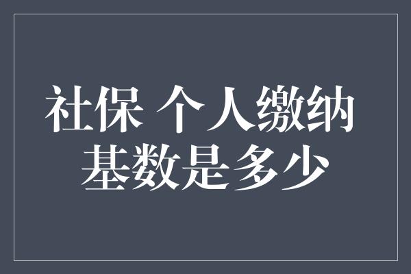 社保 个人缴纳 基数是多少