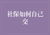 社保自己交：打造个人社保缴纳的全攻略