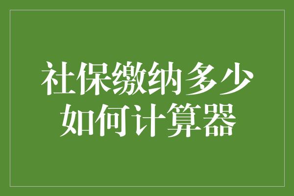 社保缴纳多少如何计算器