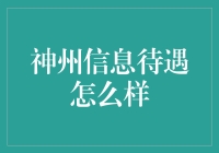 闯入神州信息：一场意料之外的职业冒险