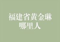 福建省黄金琳哪里人：一场关于林的寻根之旅