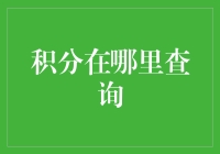 如何高效查询积分：解读积分查询渠道与技巧