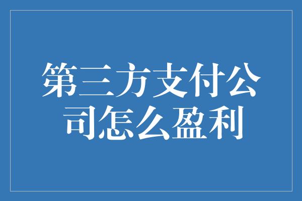 第三方支付公司怎么盈利