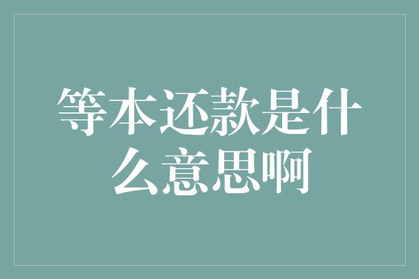 等本还款是什么意思啊