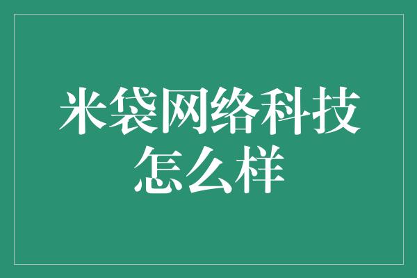 米袋网络科技怎么样