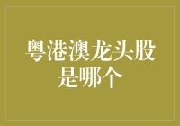 大湾区里的龙头股？别逗了，咱们聊聊真正的投资机会！