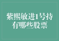 紫熙敏进1号基金的股票版图解析：洞察其投资组合的多元化与战略方向