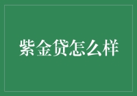 紫金贷：金融行业新锐力量全解析