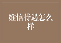 从员工福祉视角审视维信待遇：综合评估与深度解析