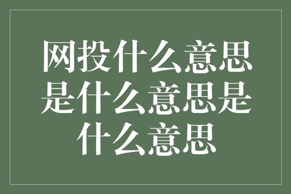 网投什么意思是什么意思是什么意思