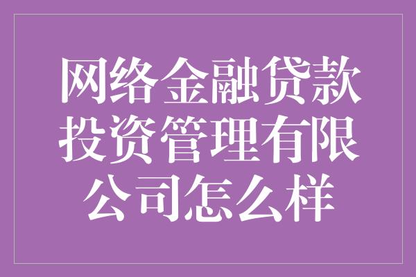 网络金融贷款投资管理有限公司怎么样