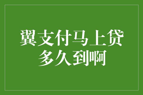 翼支付马上贷多久到啊