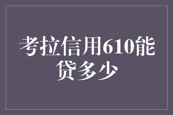 考拉信用610能贷多少