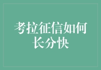 考拉征信快速提升攻略：让考拉从树懒变考豹