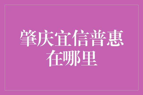 肇庆宜信普惠在哪里