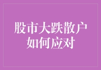 股市大跌散户如何应对：真·股民自救指南