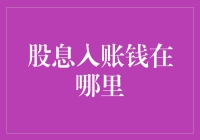 股息入账钱在哪里：股票投资者必备的财务知识解析