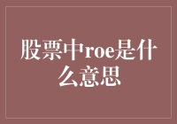 股票世界的新手指南：ROE是你的财务罗罗相册