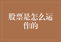 股票市场运作机制探析：构建资本流通的桥梁