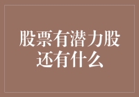 股票投资中的潜力股和那些不为人知的秘密