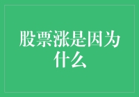 股票上涨的多重驱动因素解析