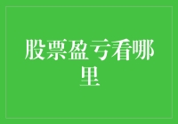 股票盈亏看哪里：全面解析股票投资盈亏的考量因素