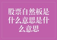 股票自然板：市场机制与投资者行为的双重考察