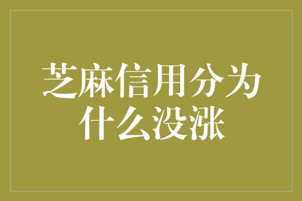 芝麻信用分为什么没涨