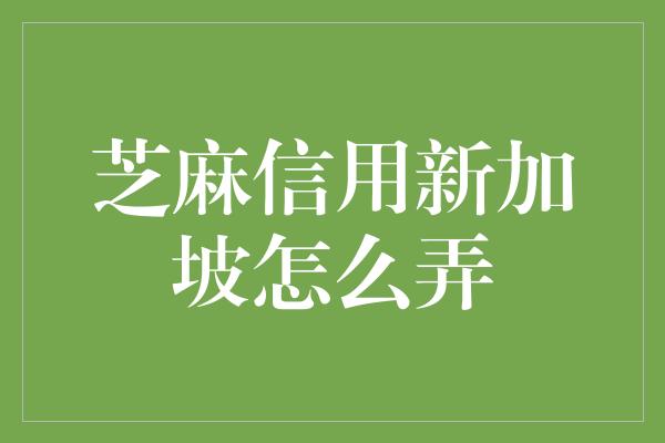 芝麻信用新加坡怎么弄