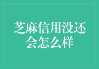 芝麻信用没还会怎么样：信用时代下的个人命运